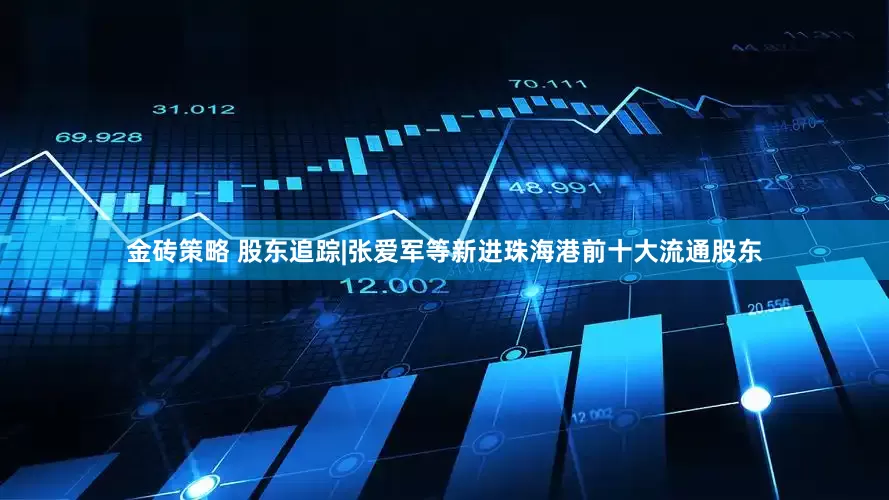 金砖策略 股东追踪|张爱军等新进珠海港前十大流通股东